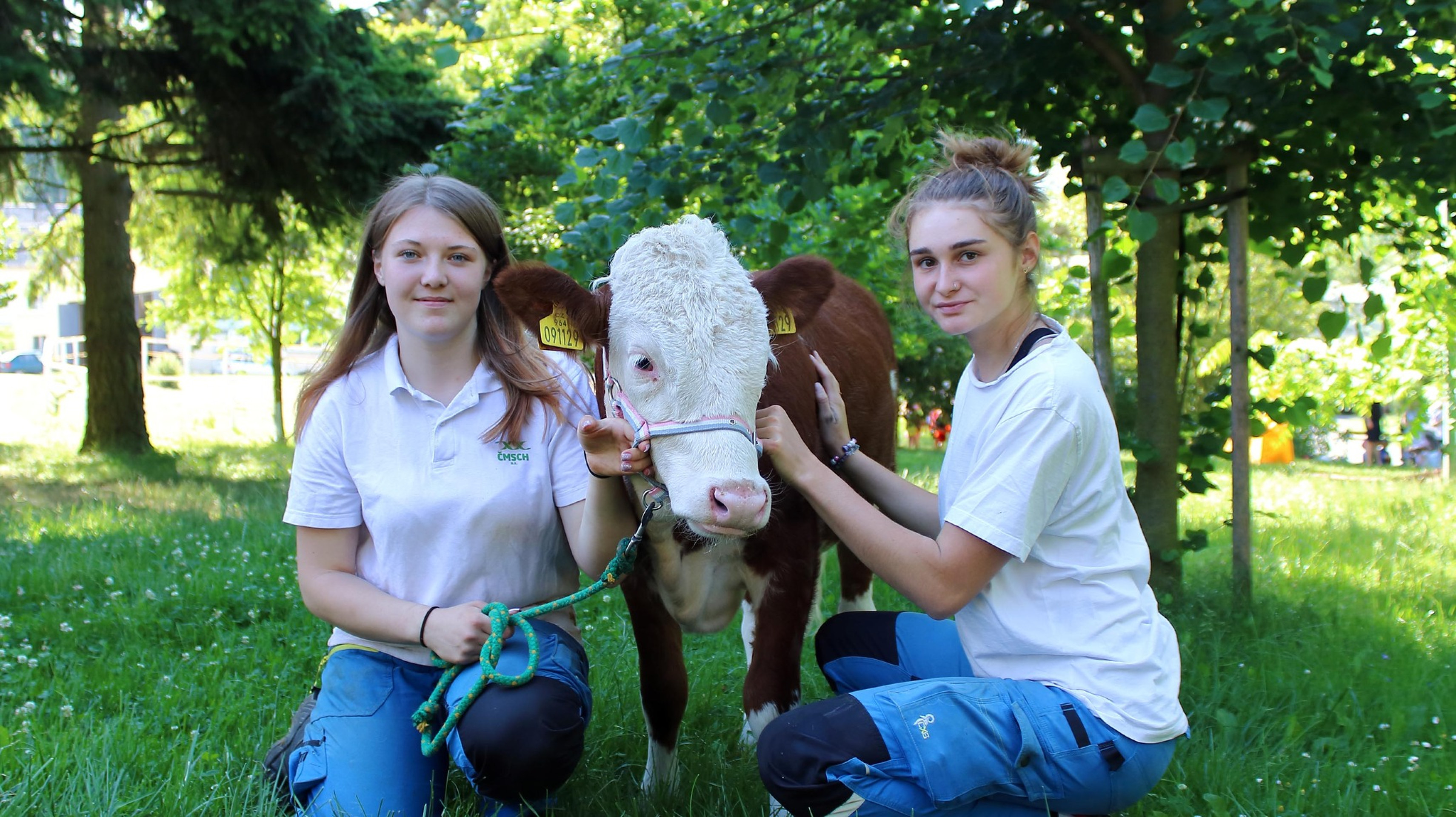 Den otevřených dveří