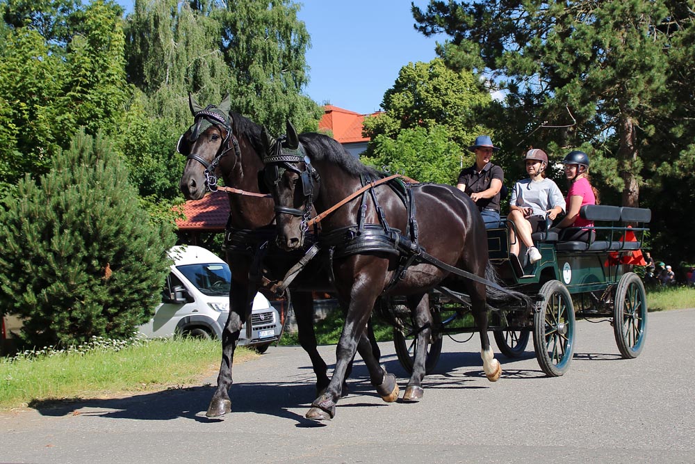 Dny plné zážitků: Den botanky a zemědělky