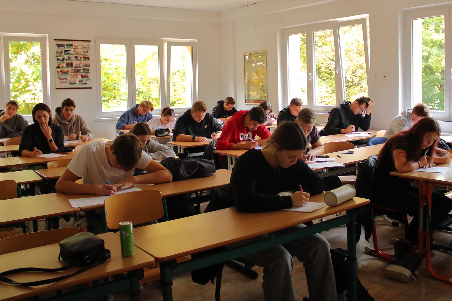 Bramborový květ 2025