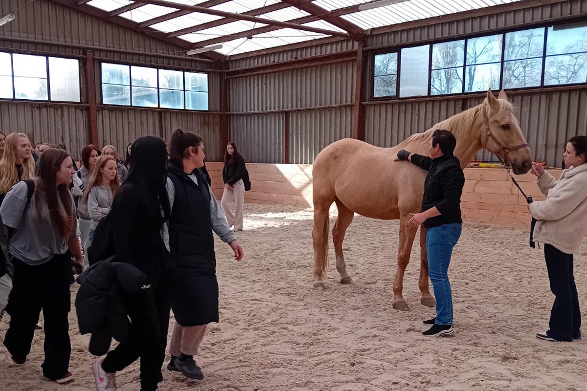 Učíme se, jak koním ulevit od napětí