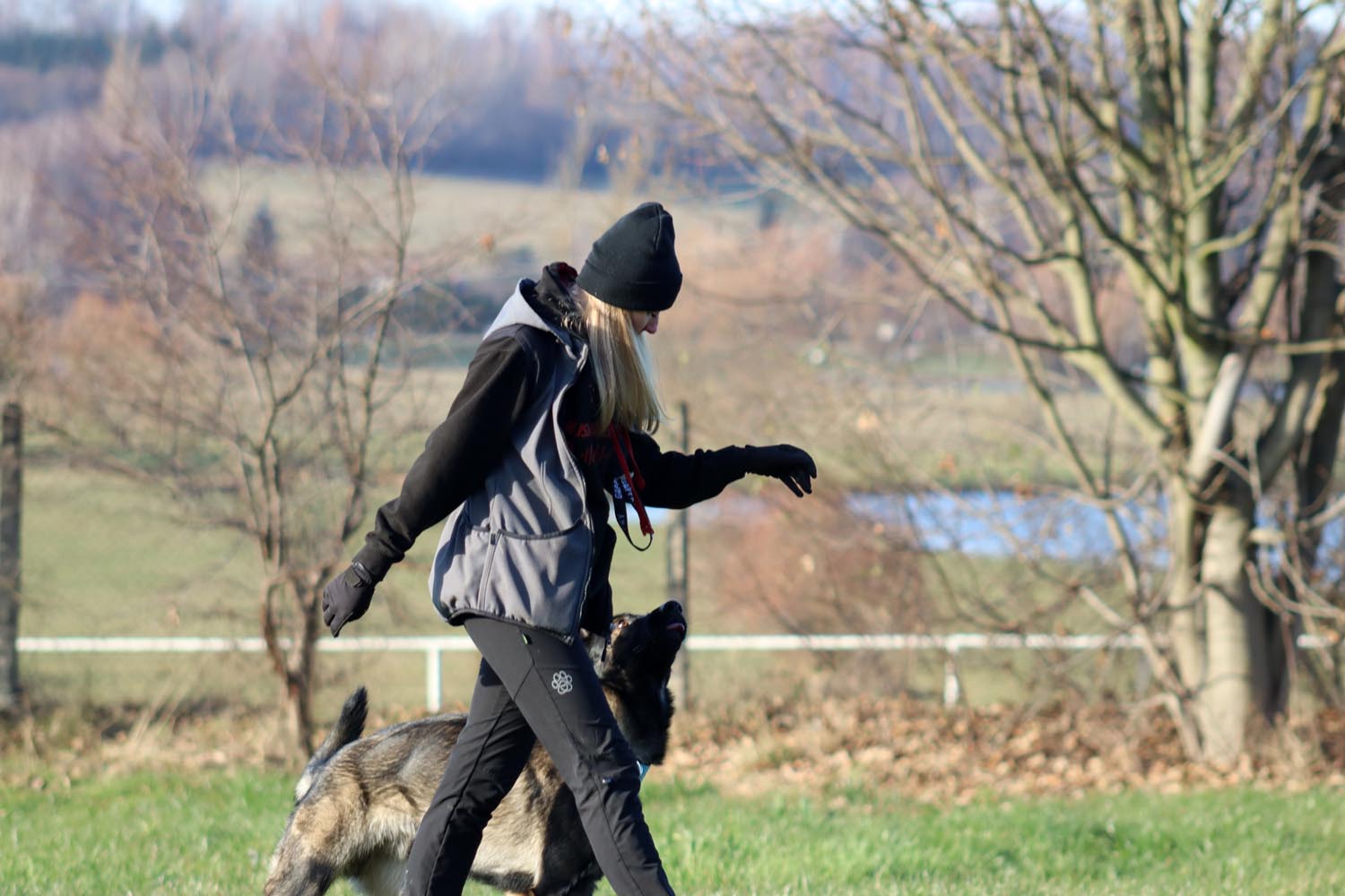 Výcvik sportovní kynologie v praxi